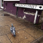 Pigeon Street