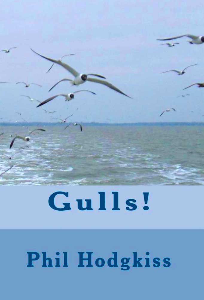 Staffordshire-Author-Phil-Hodgkiss-Releases-Gulls-Book